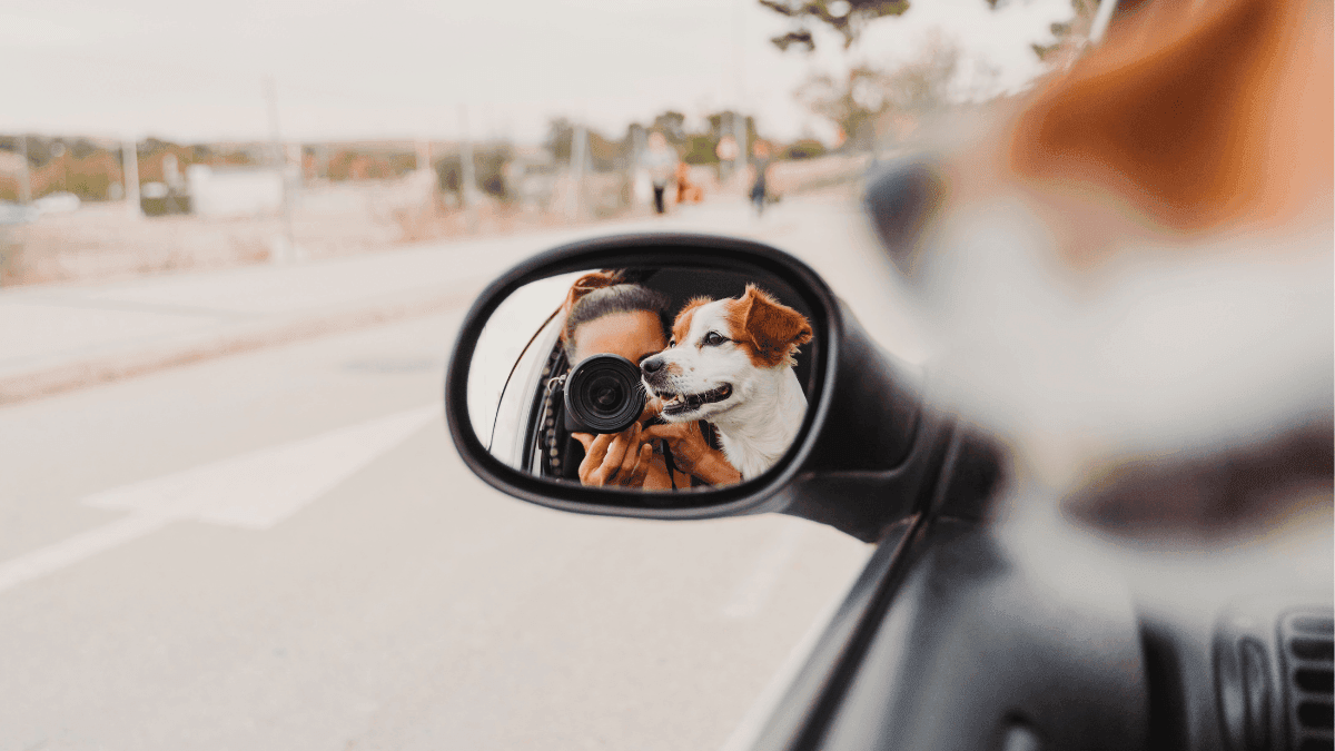 Escape and Explore: Day Trips from San Antonio